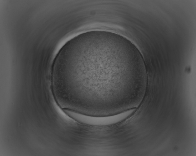 X0000091511531200708311216