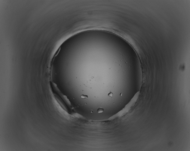 X0000091511532200708311216