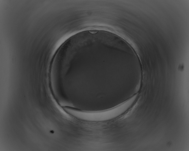 X0000091511533200708311216