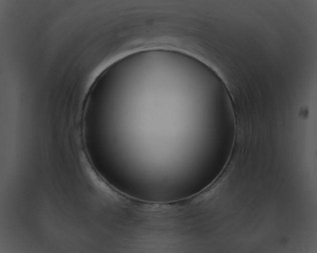 X0000091511534200708311216