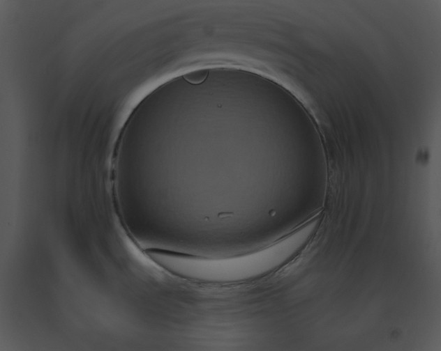 X0000091511535200708311216