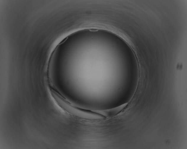 X0000091511536200708311216