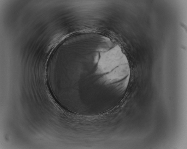 X0000091510002200709071004