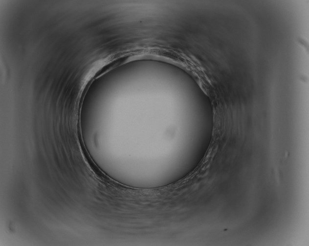 X0000091510003200709071004