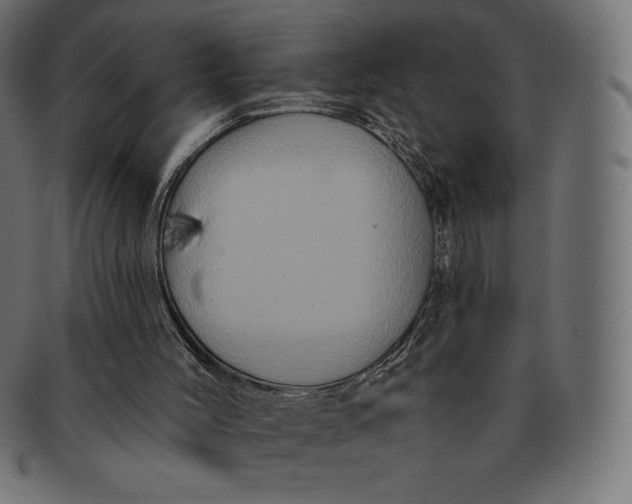 X0000091510004200709071004