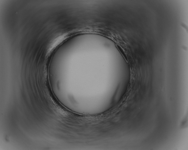 X0000091510005200709071004