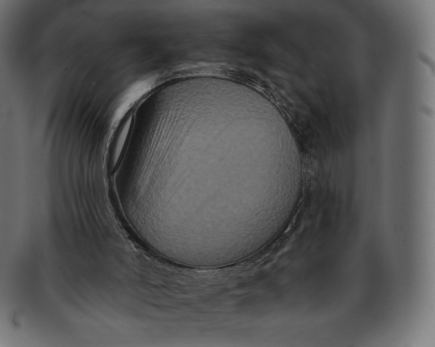 X0000091510006200709071004