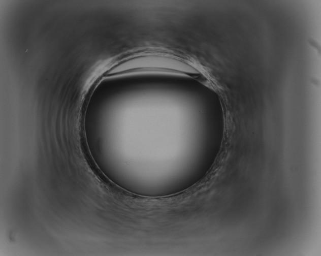 X0000091510007200709071004