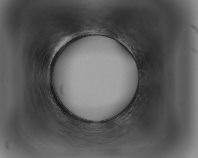 X0000091510008200709071004