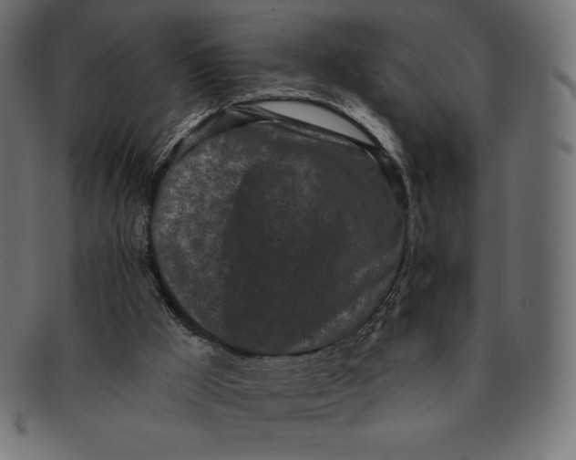 X0000091510009200709071004