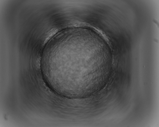 X0000091510010200709071004