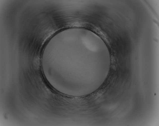 X0000091510012200709071004