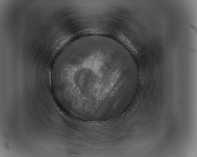 X0000091510014200709071004