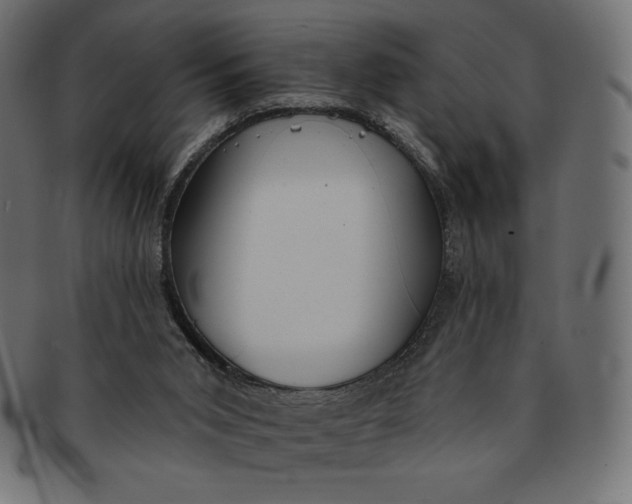 X0000091510015200709071004