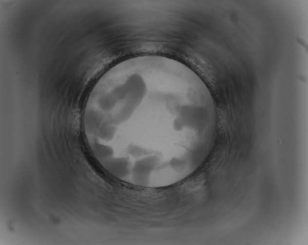 X0000091510016200709071004