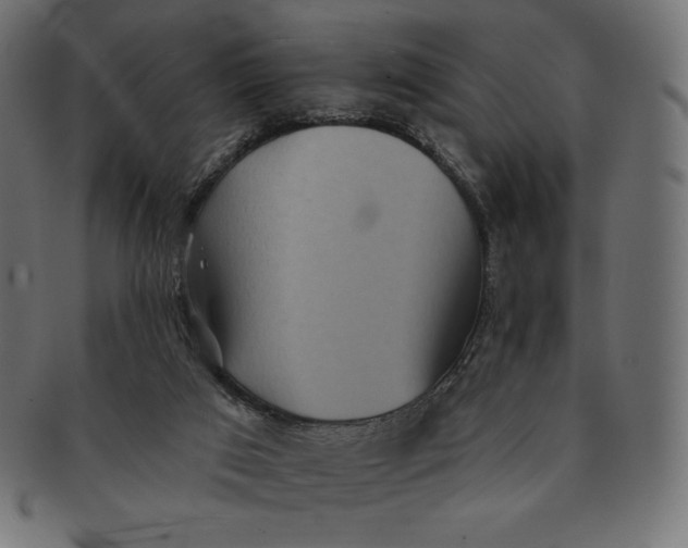 X0000091510017200709071004