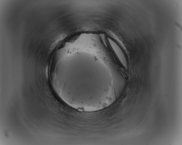 X0000091510019200709071004