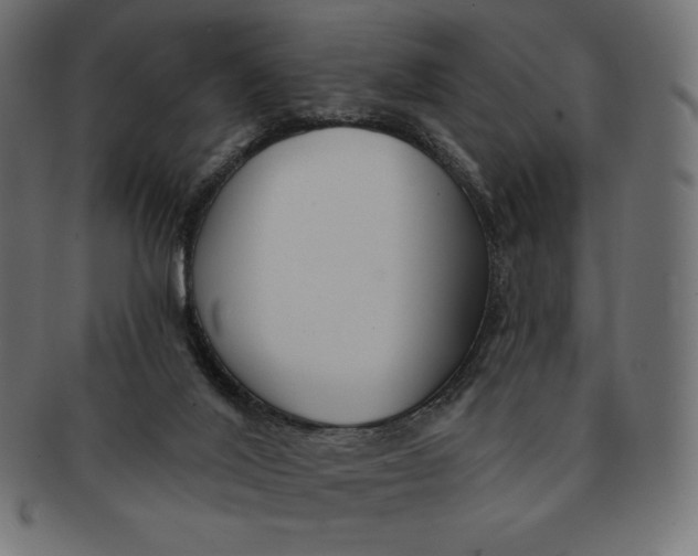 X0000091510020200709071004