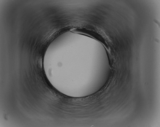 X0000091510021200709071004