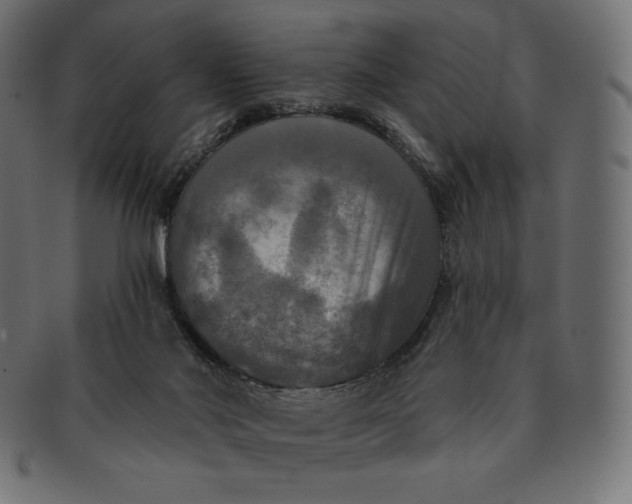 X0000091510022200709071004