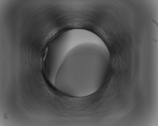 X0000091510023200709071004