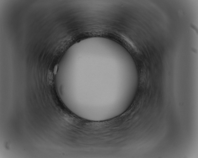 X0000091510025200709071004