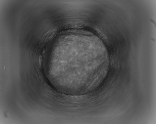 X0000091510026200709071004