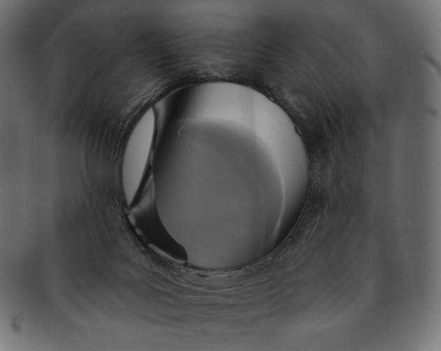 X0000091510027200709071004