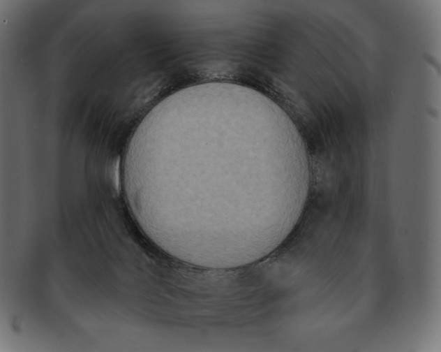 X0000091510028200709071004