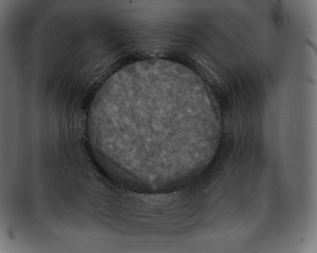 X0000091510030200709071004