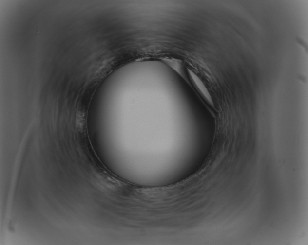 X0000091510033200709071004