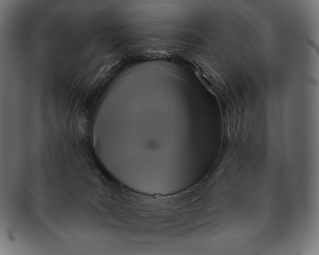 X0000091510035200709071004