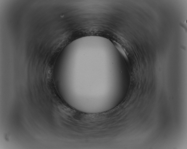 X0000091510037200709071004