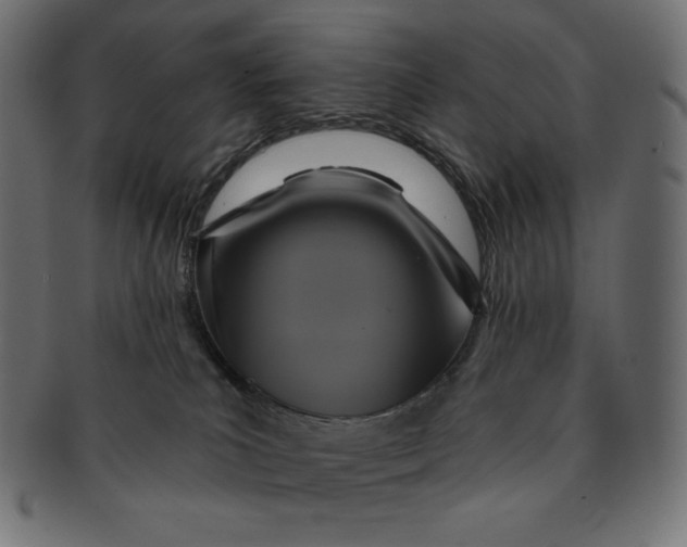 X0000091510039200709071004