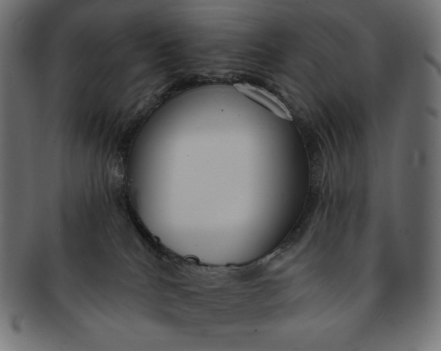 X0000091510040200709071004