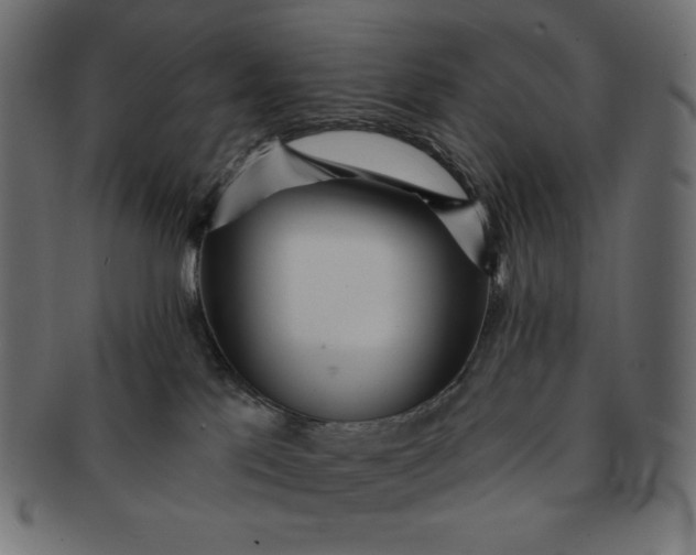 X0000091510041200709071004