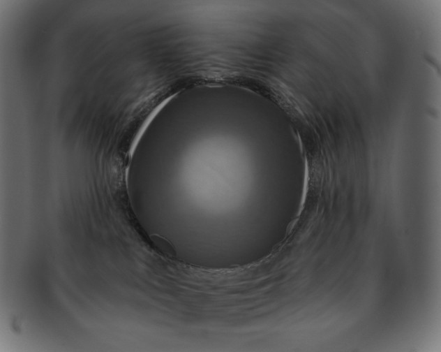 X0000091510043200709071004