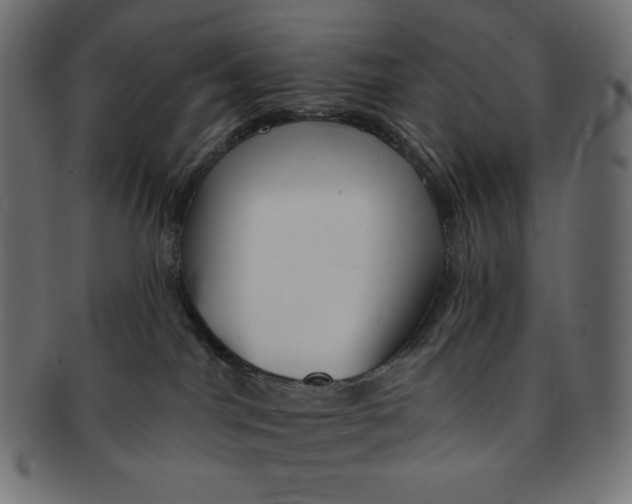 X0000091510044200709071004