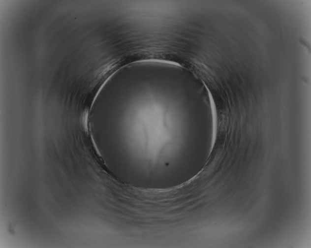 X0000091510047200709071004