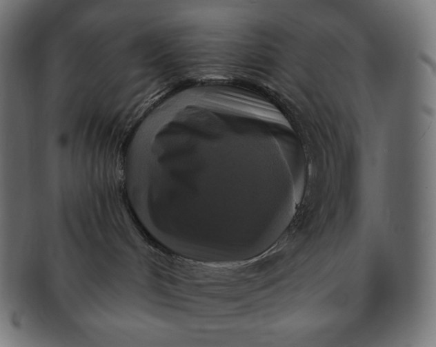 X0000091510048200709071004