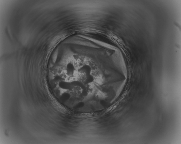 X0000091510049200709071003