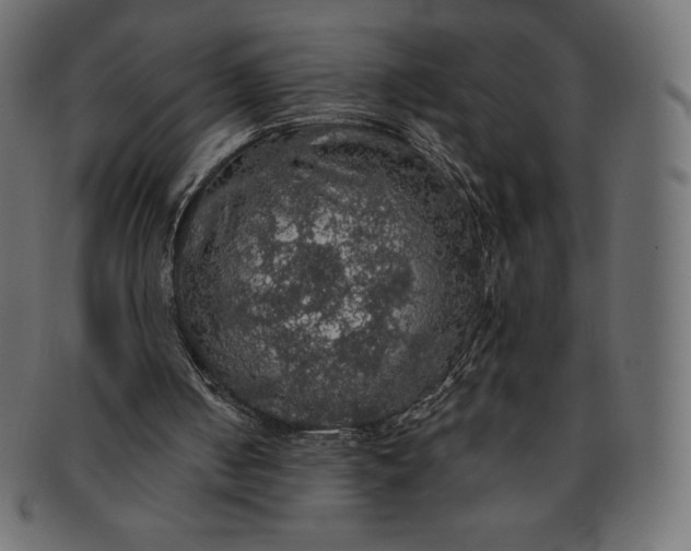 X0000091510050200709071003