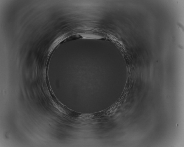 X0000091510051200709071003