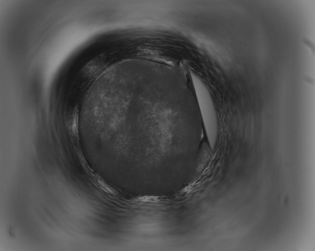 X0000091510052200709071003