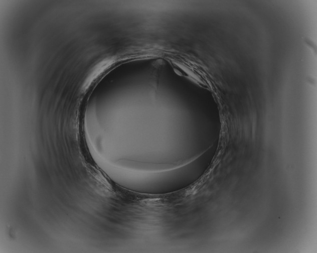 X0000091510054200709071003