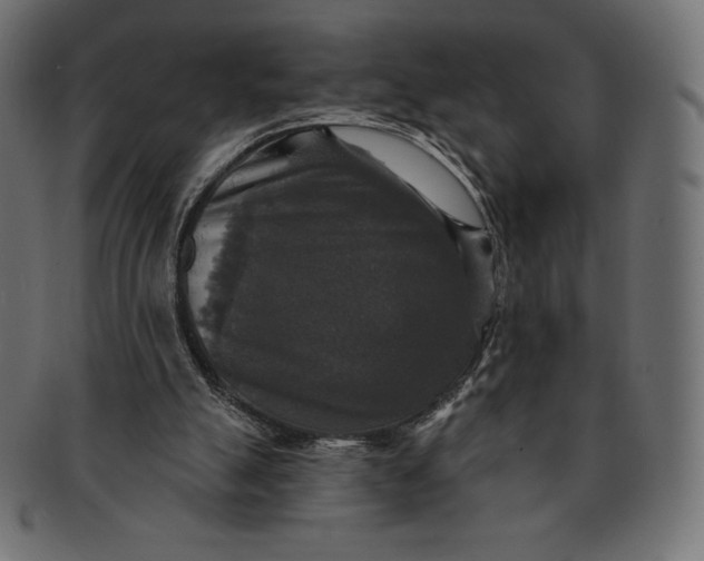 X0000091510055200709071003