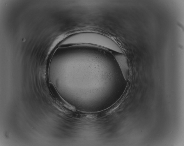 X0000091510056200709071003