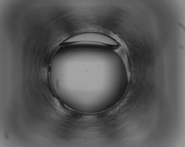 X0000091510057200709071003