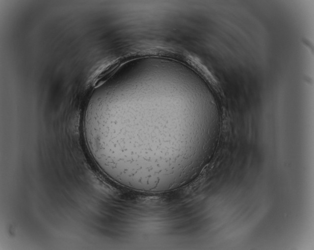 X0000091510058200709071003