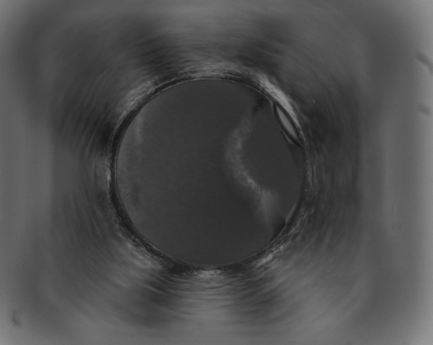 X0000091510059200709071003